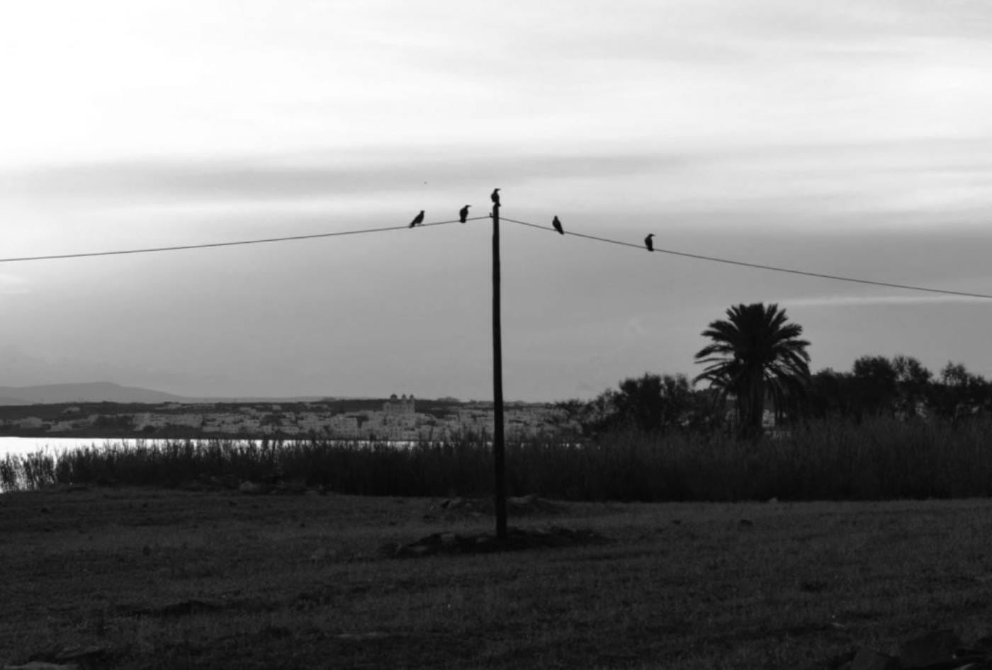 Winter Paros. Quiet Island, ideal for a road trip